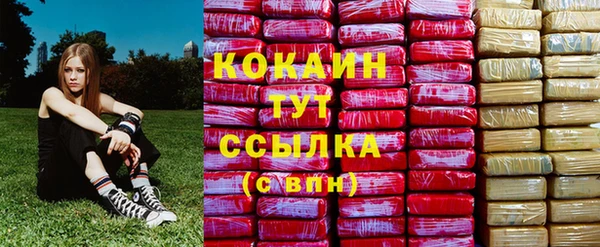 прущие грибы Нязепетровск