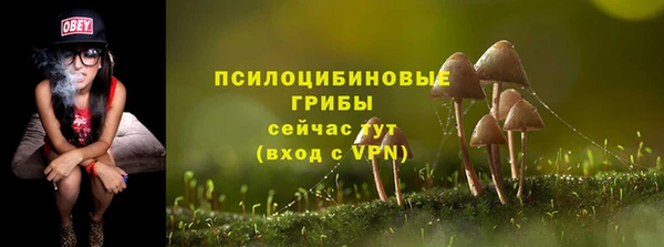 гидра Алзамай