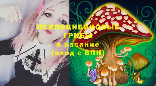 гидра Алзамай