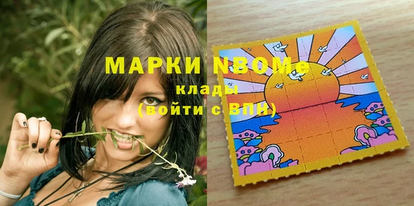 стаф Няндома